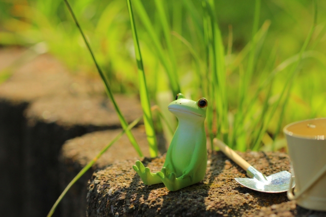 呼吸の奥深さを再発見する6月♪