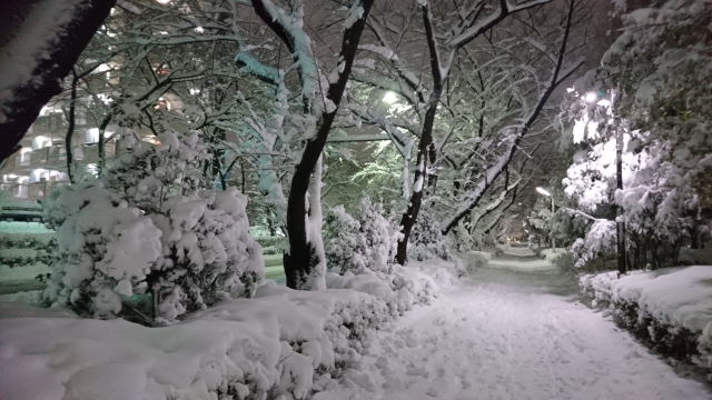【都会の雪は、心を曇らせる。】