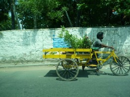 インドにて