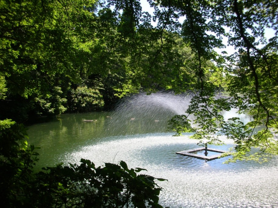 井の頭公園　池